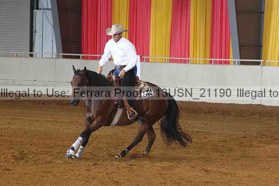 Proof 13usn_21190