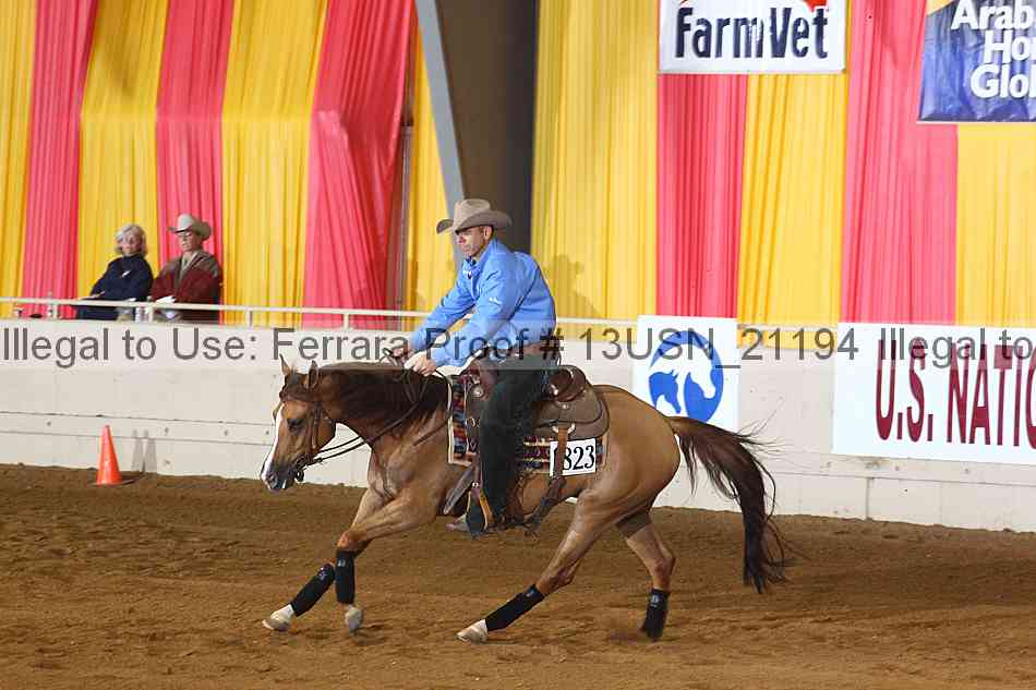 Proof 13usn_21194