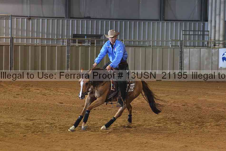 Proof 13usn_21195