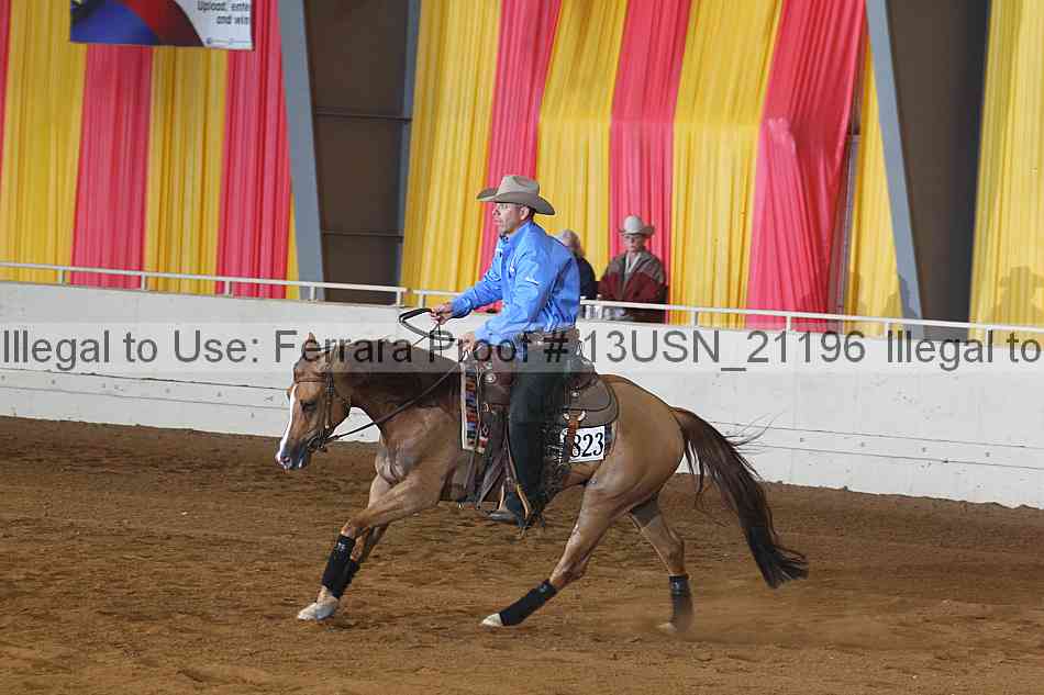 Proof 13usn_21196
