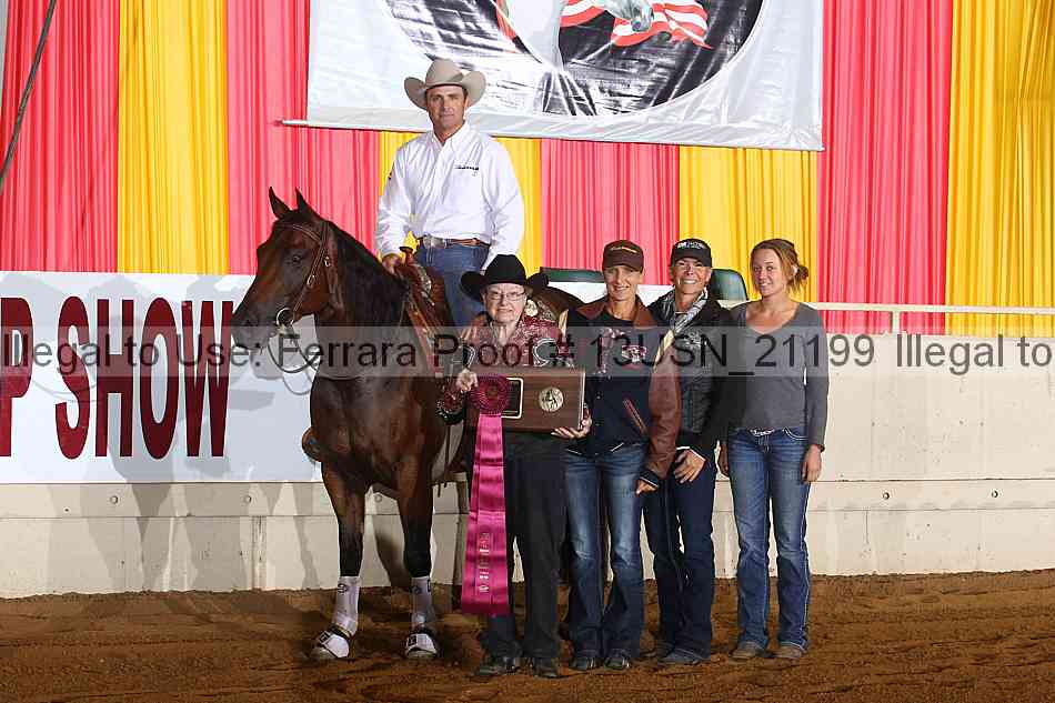 Proof 13usn_21199