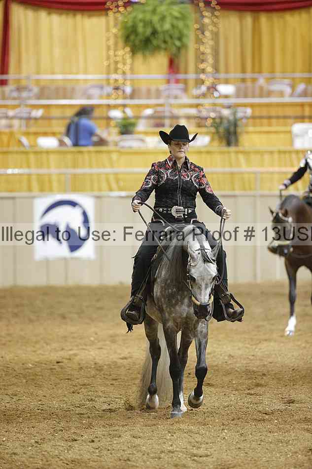 Proof 13usn_03676