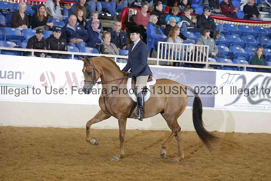 Proof 13usn_02231
