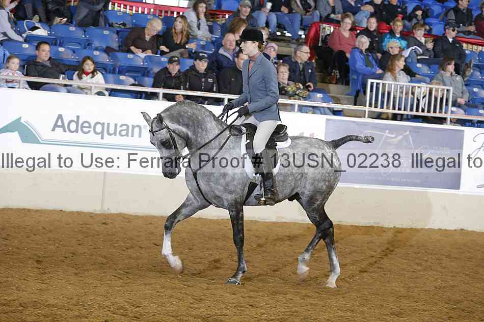 Proof 13usn_02238