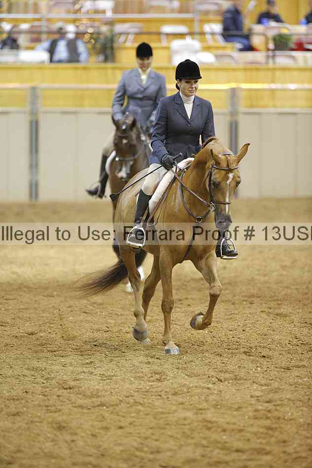 Proof 13usn_02253
