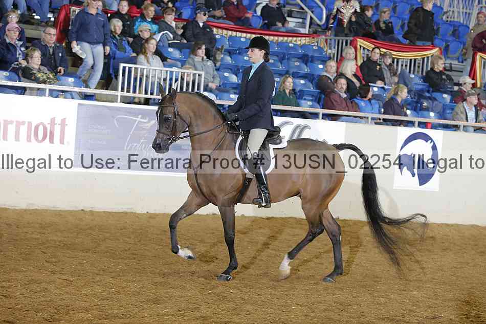 Proof 13usn_02254