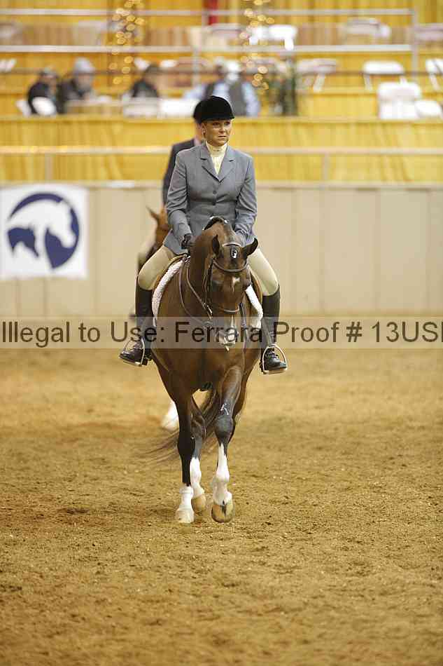 Proof 13usn_02255