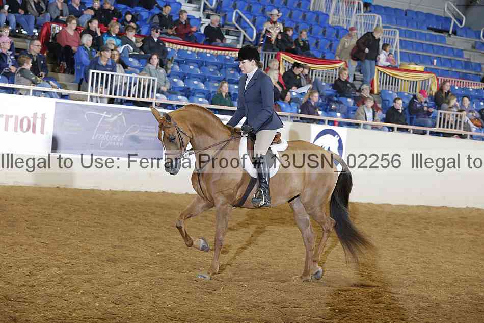 Proof 13usn_02256