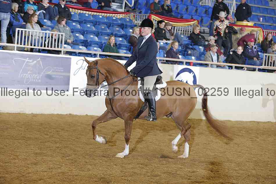 Proof 13usn_02259