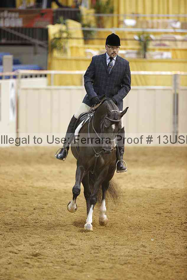 Proof 13usn_02260