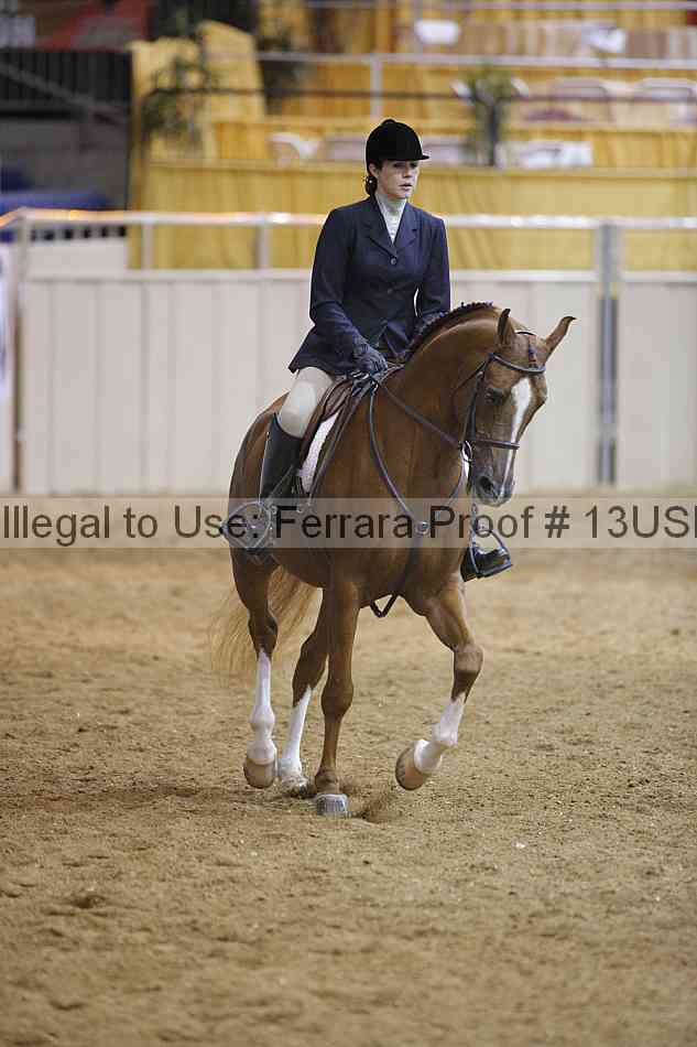 Proof 13usn_02263