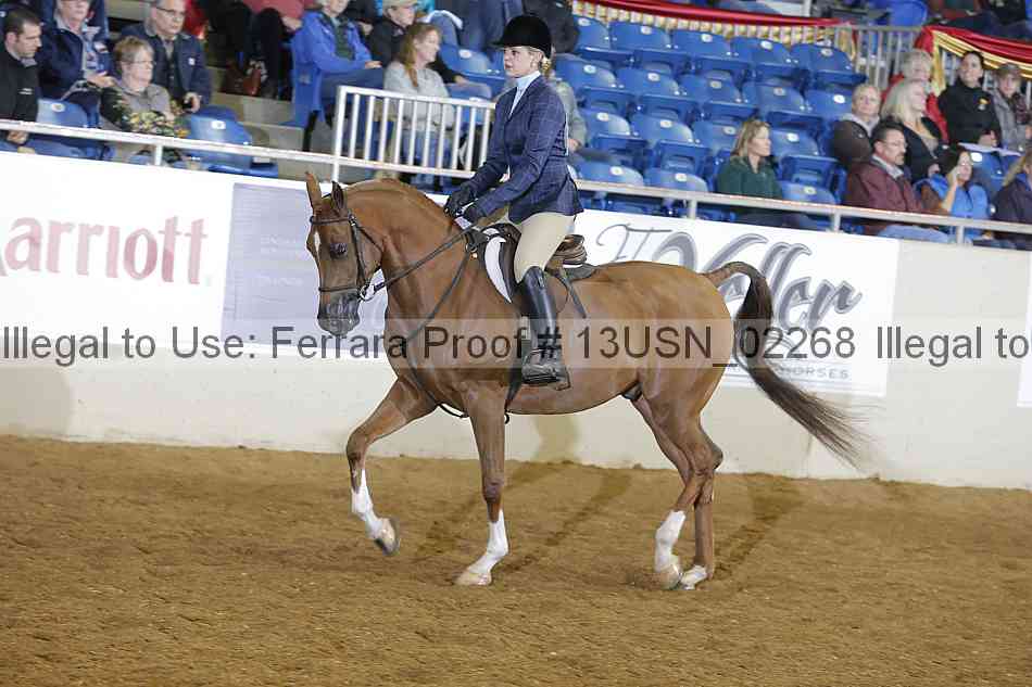 Proof 13usn_02268