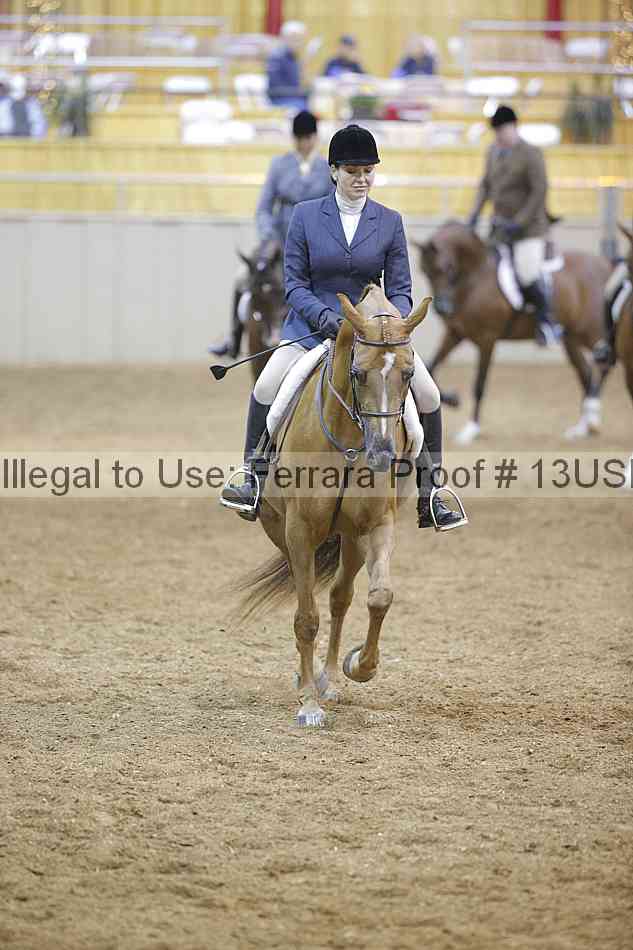 Proof 13usn_02270