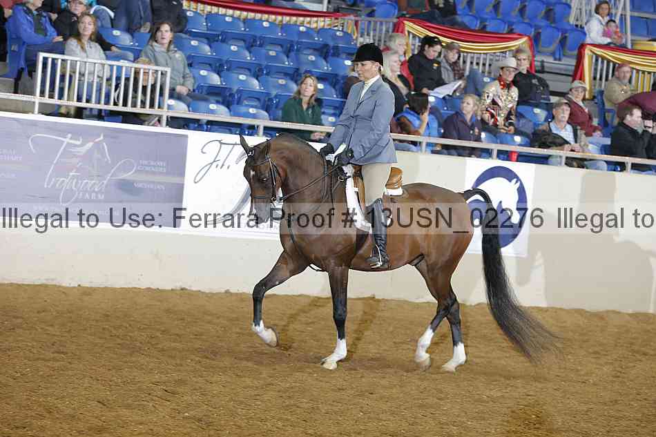 Proof 13usn_02276