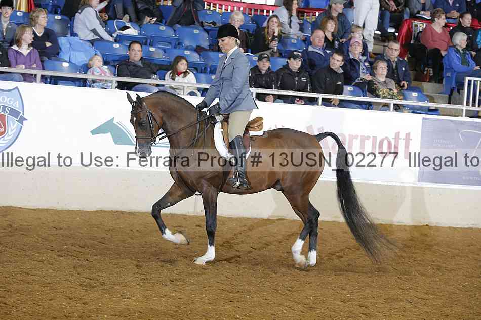Proof 13usn_02277