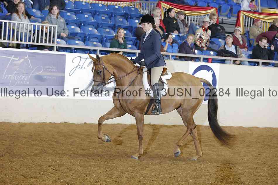 Proof 13usn_02284