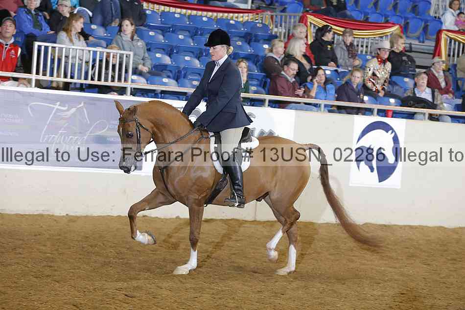 Proof 13usn_02286