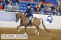 13usn_02286 proof