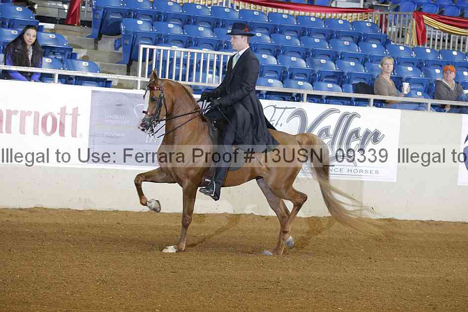 Proof 13usn_09339