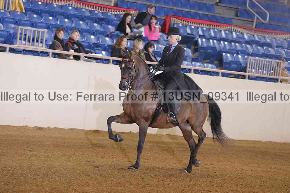Proof 13usn_09341