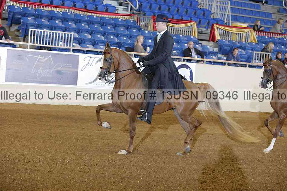 Proof 13usn_09346