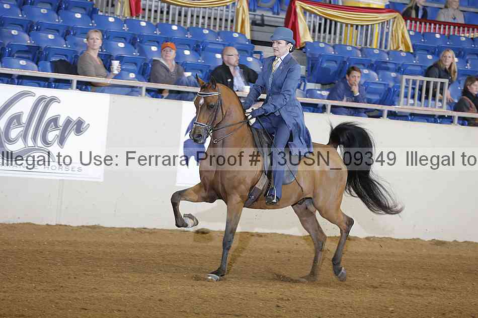 Proof 13usn_09349