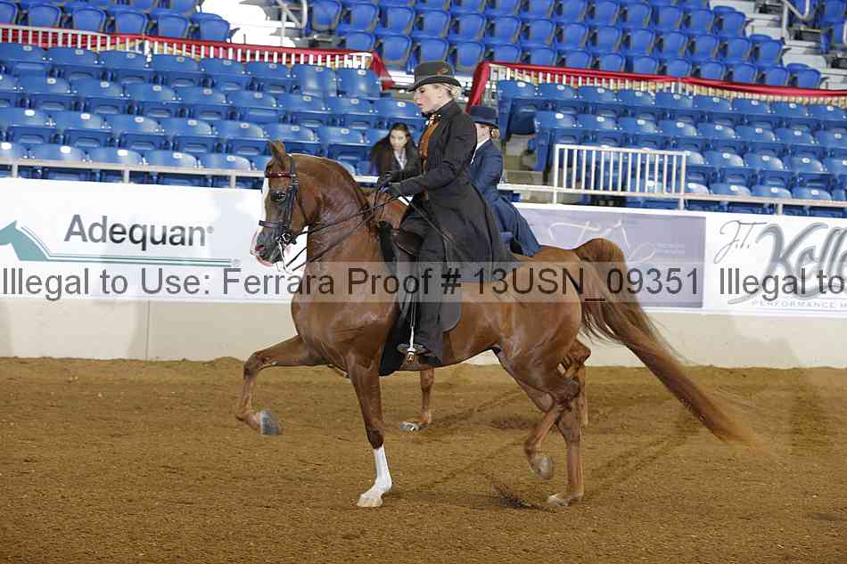 Proof 13usn_09351