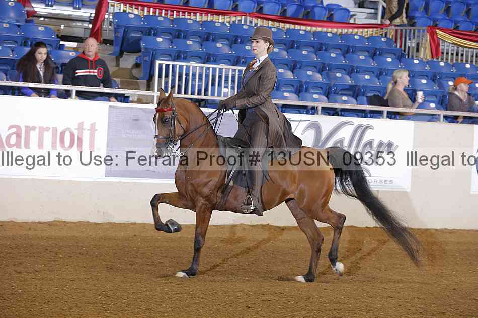 Proof 13usn_09353