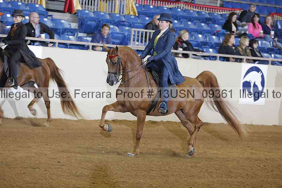 Proof 13usn_09361