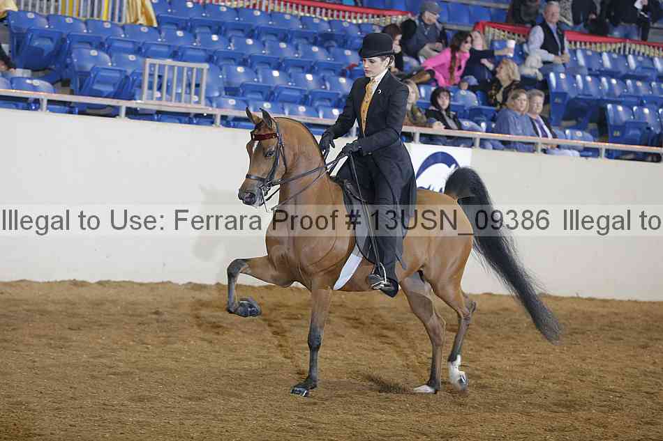 Proof 13usn_09386