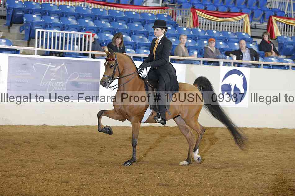 Proof 13usn_09387