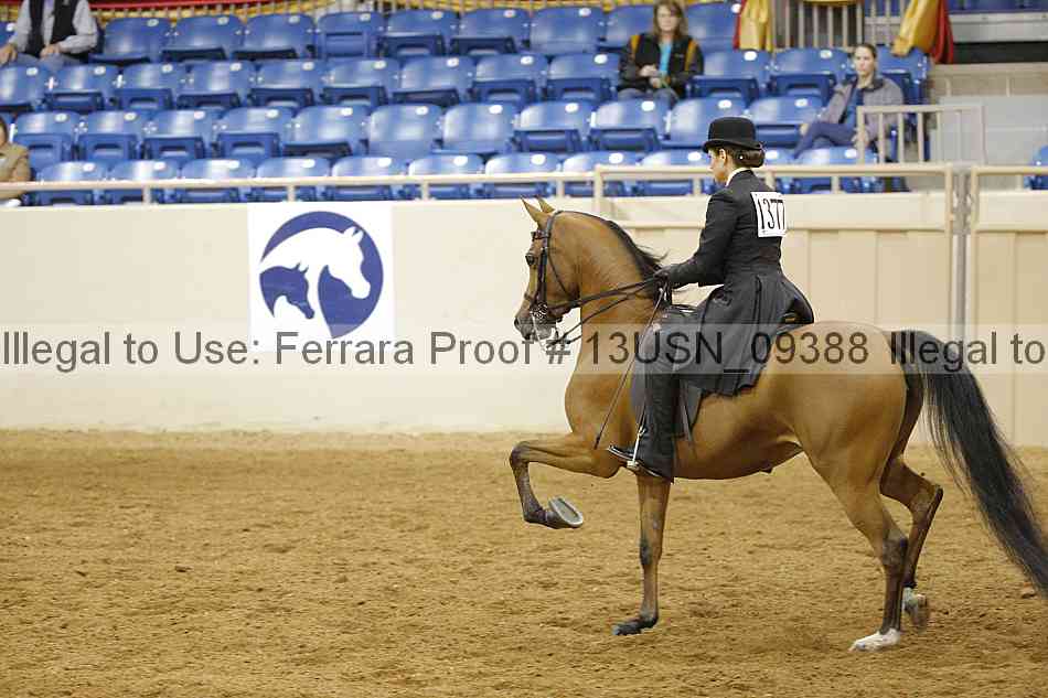 Proof 13usn_09388