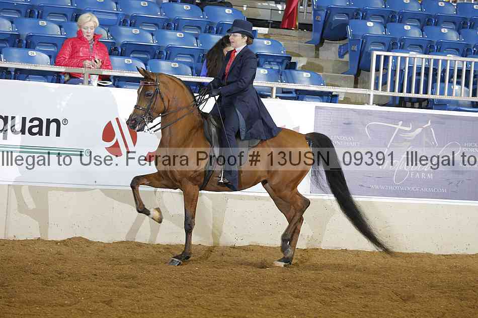 Proof 13usn_09391