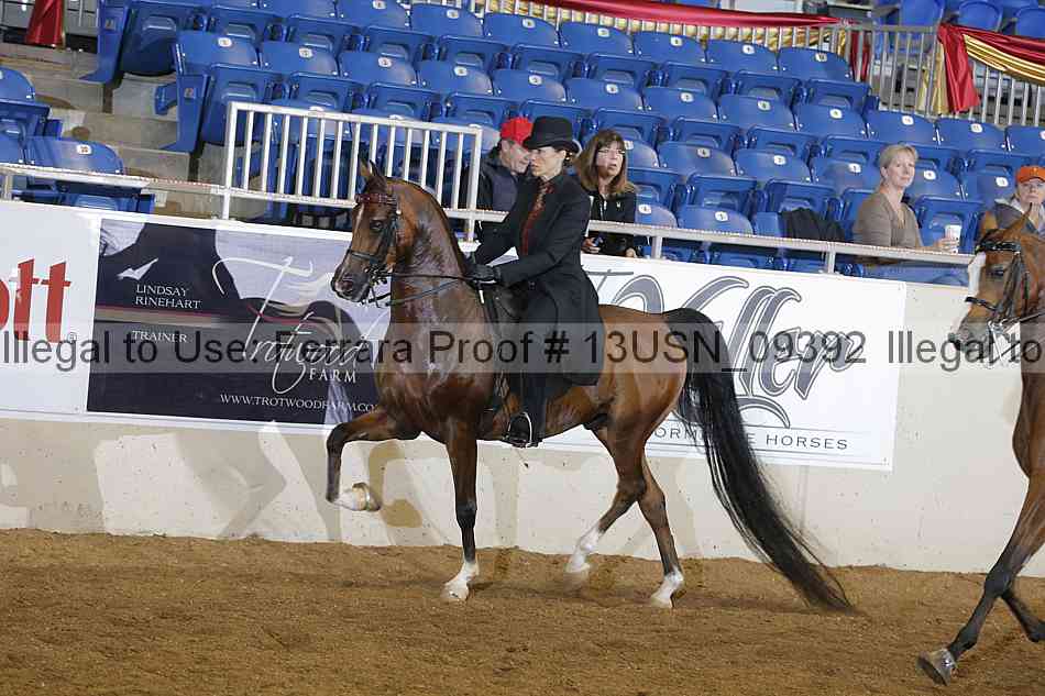 Proof 13usn_09392