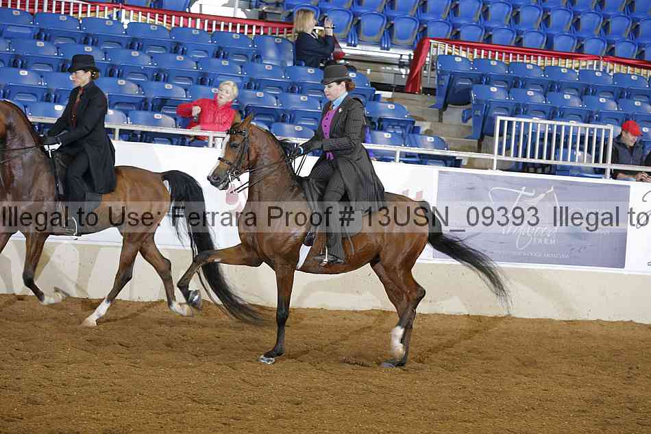 Proof 13usn_09393