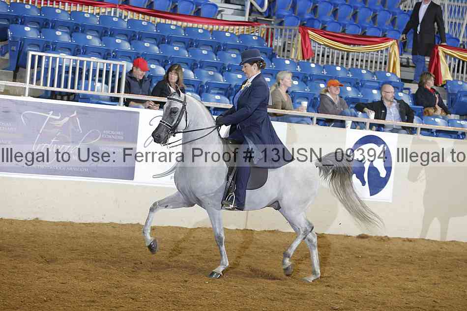 Proof 13usn_09394