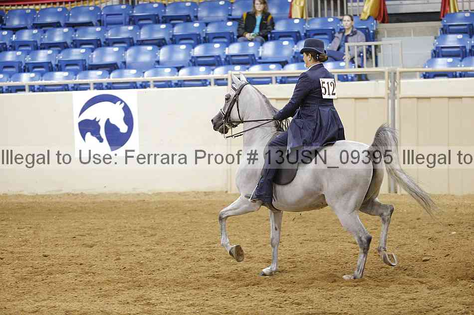 Proof 13usn_09395