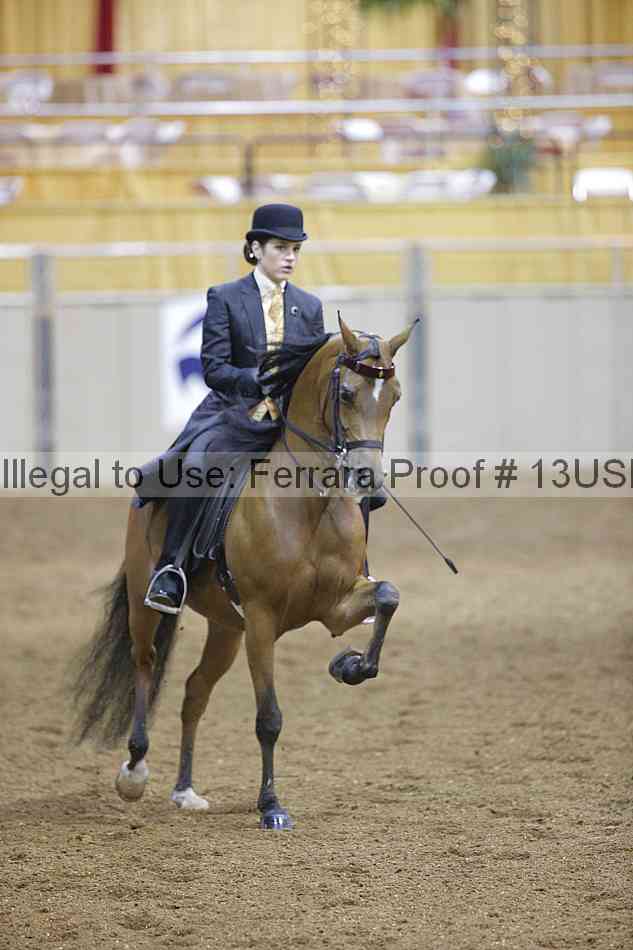 Proof 13usn_09397