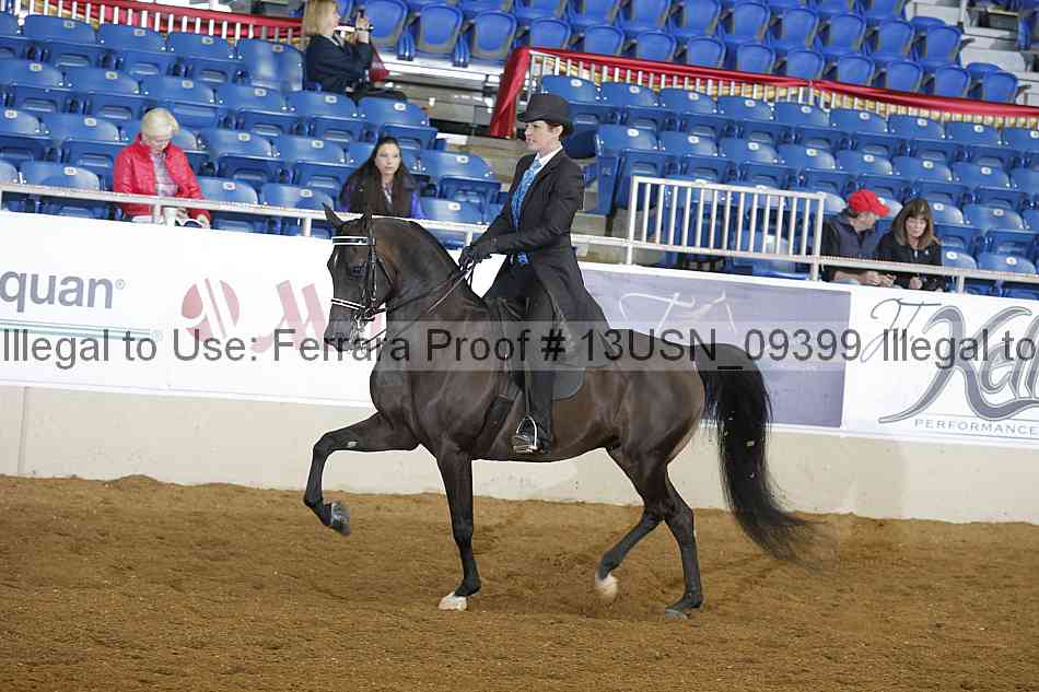 Proof 13usn_09399