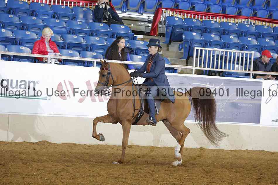 Proof 13usn_09401