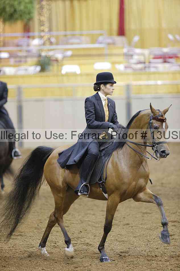 Proof 13usn_09403