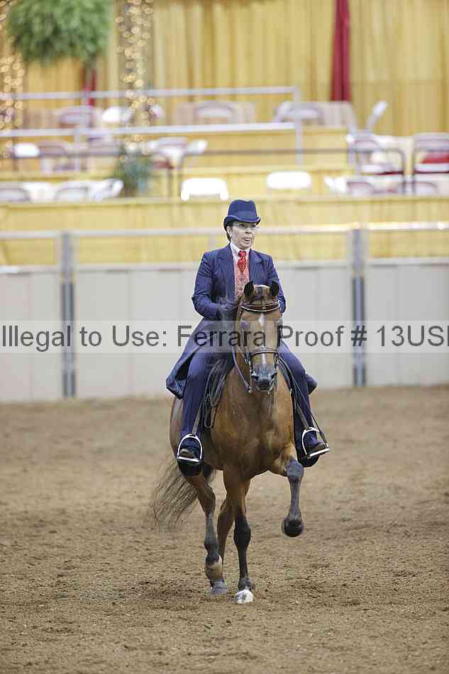 Proof 13usn_09406