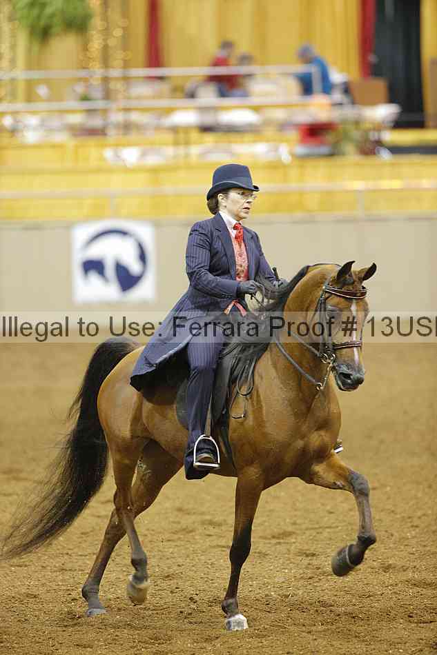 Proof 13usn_09407