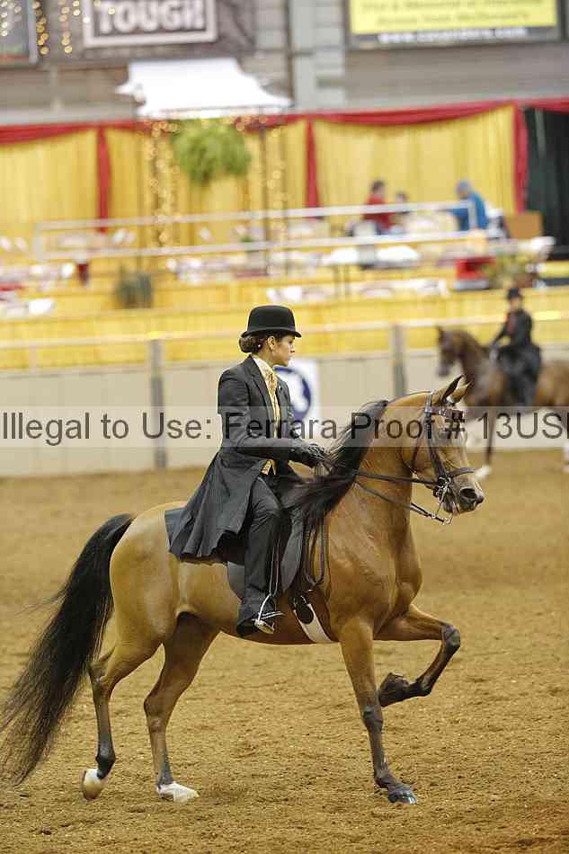 Proof 13usn_09412