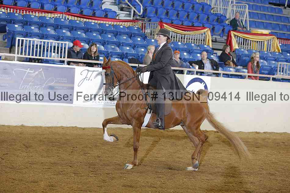 Proof 13usn_09414