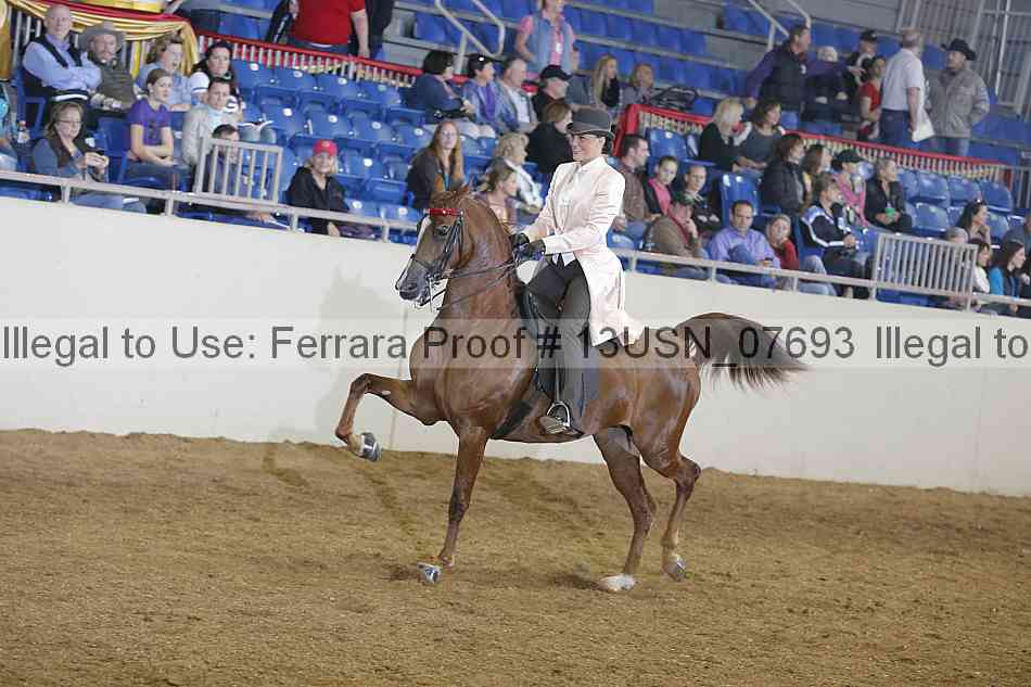 Proof 13usn_07693