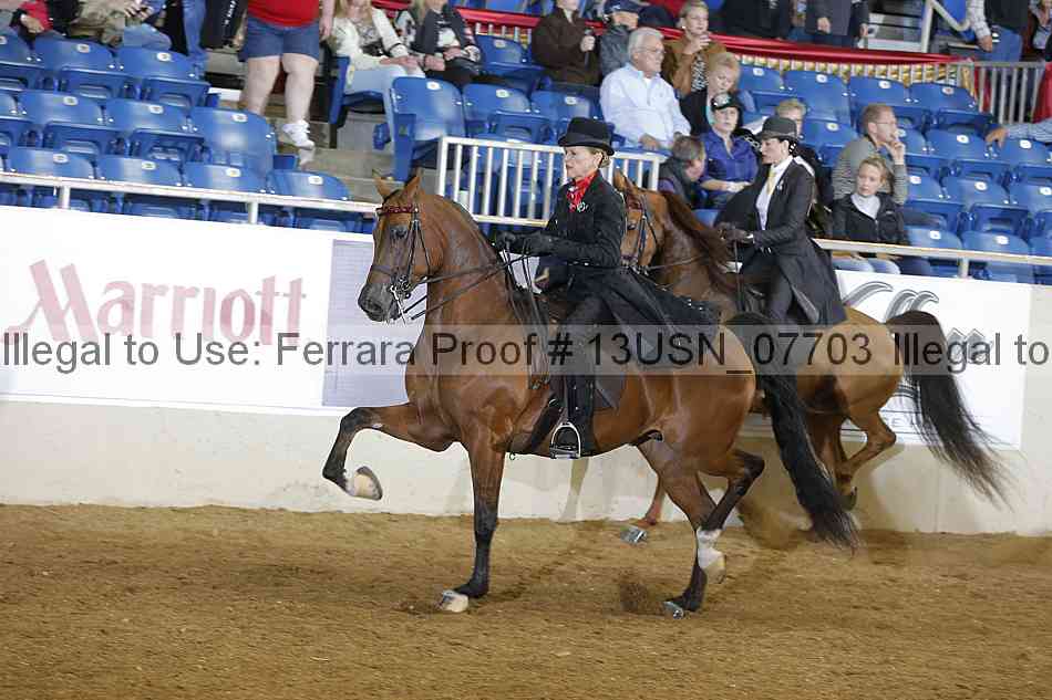 Proof 13usn_07703