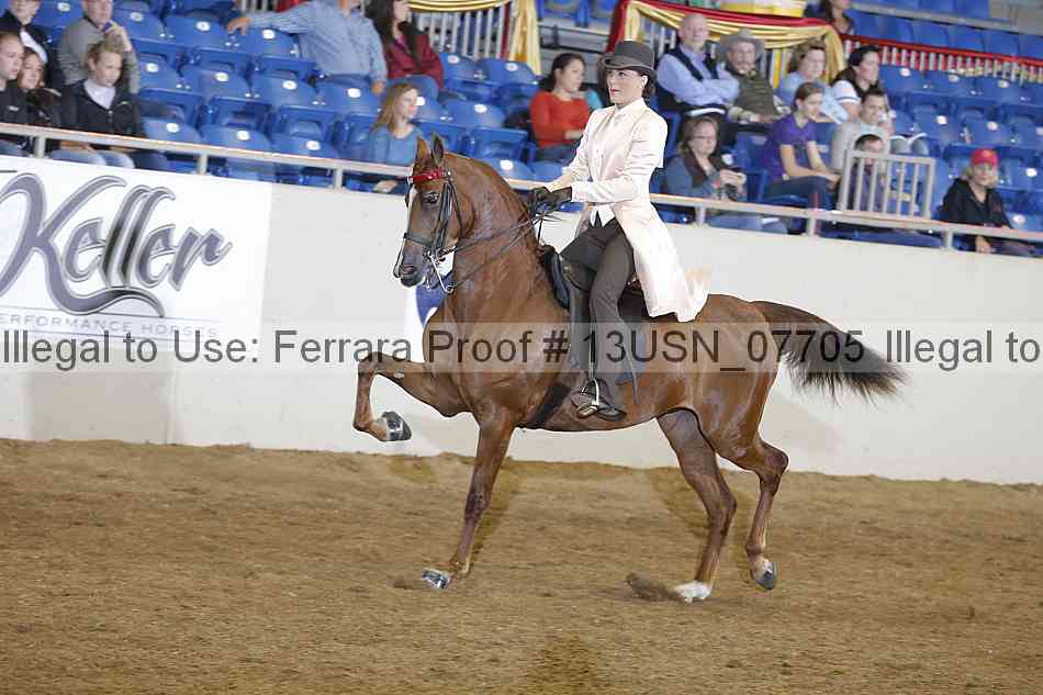 Proof 13usn_07705