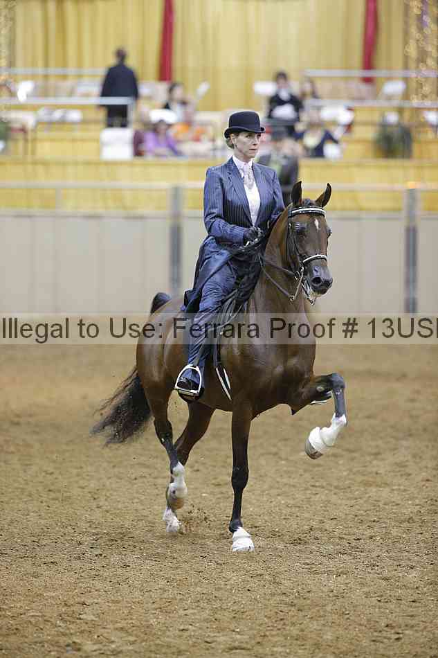 Proof 13usn_07706