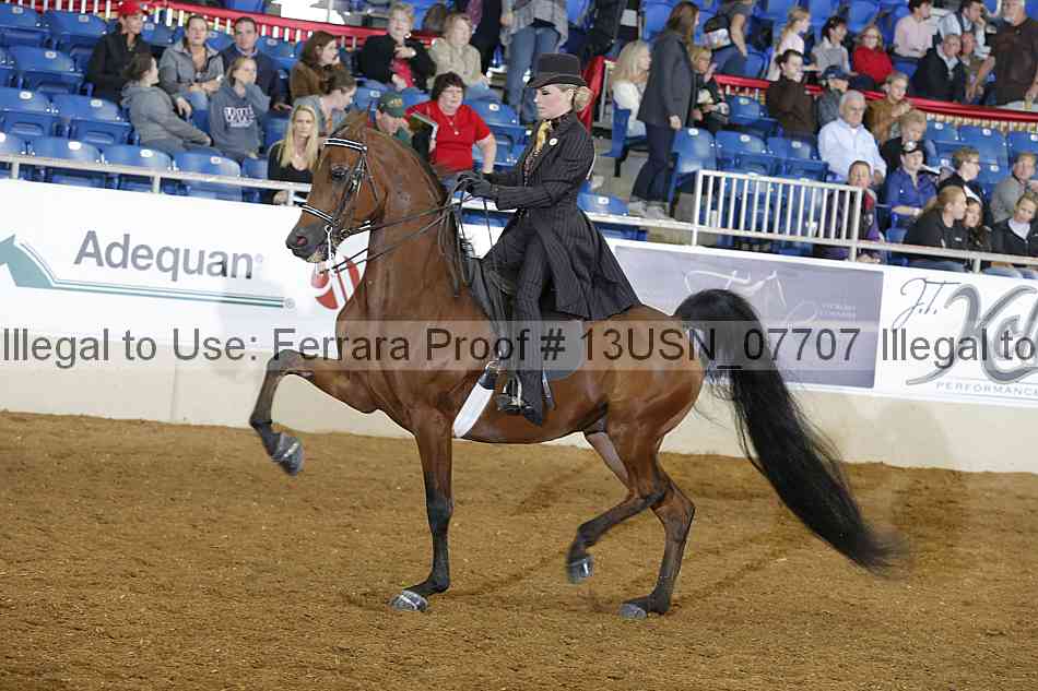 Proof 13usn_07707